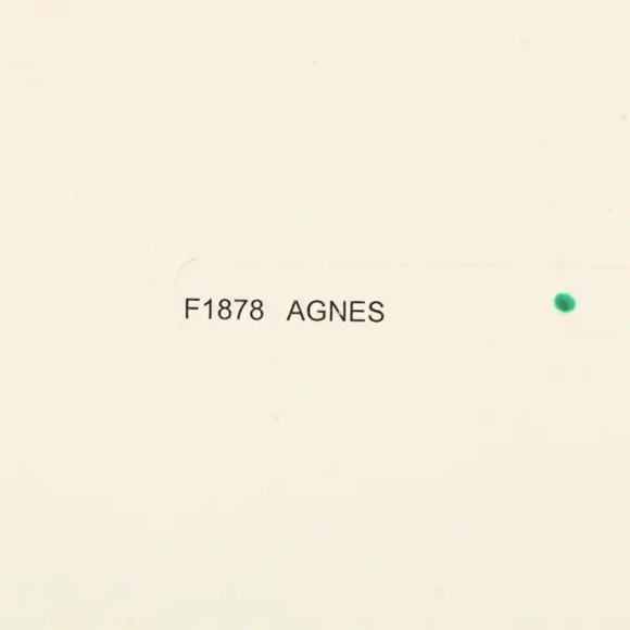 Offset Lithograph After Lowell Herrero's "Agnes" - Picture 9 of 10